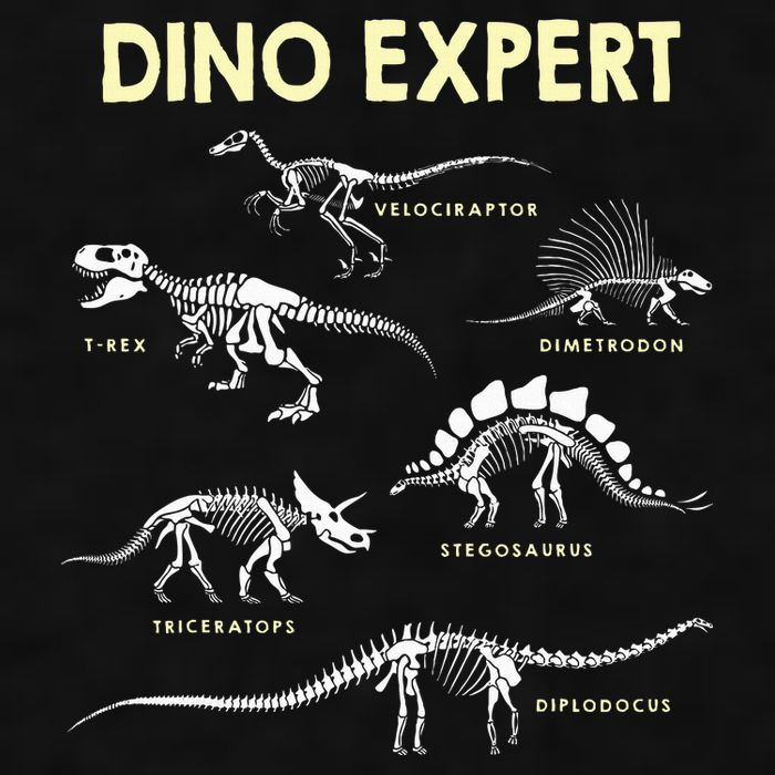 Dino Expert Future Paleontologist Dinosaur Fossil Bones Ladies PosiCharge Tri-Blend Wicking Tank