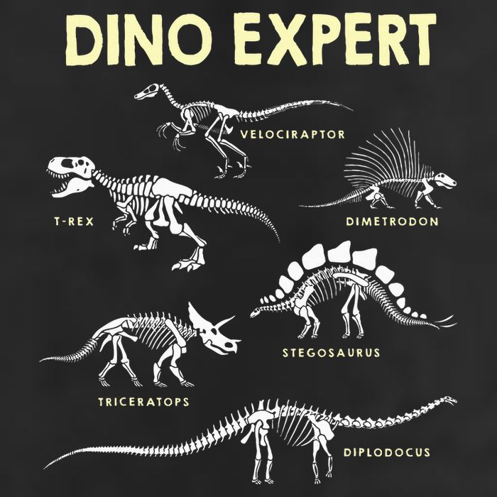 Dino Expert Future Paleontologist Dinosaur Fossil Bones Cool Comfort Performance Bucket Hat