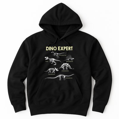 Dino Expert Future Paleontologist Dinosaur Fossil Bones Hoodie