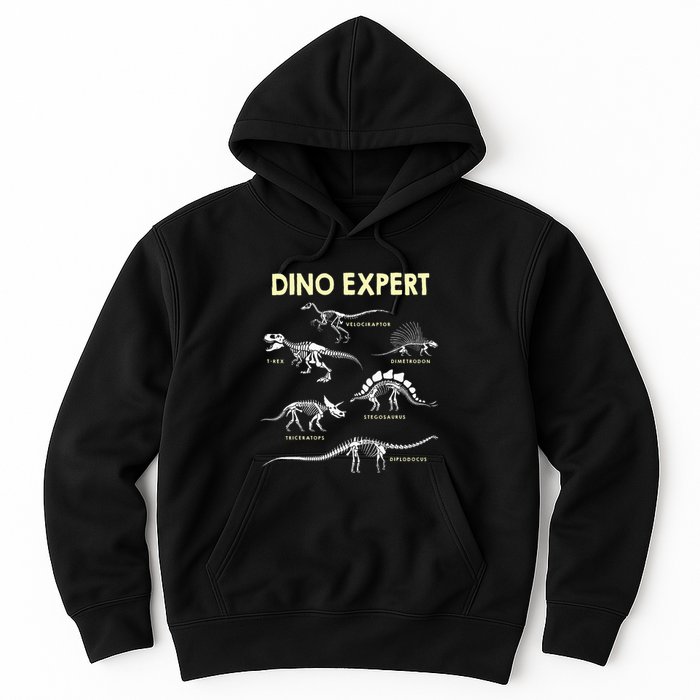 Dino Expert Future Paleontologist Dinosaur Fossil Bones Hoodie