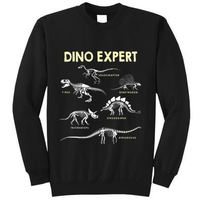 Dino Expert Future Paleontologist Dinosaur Fossil Bones Sweatshirt