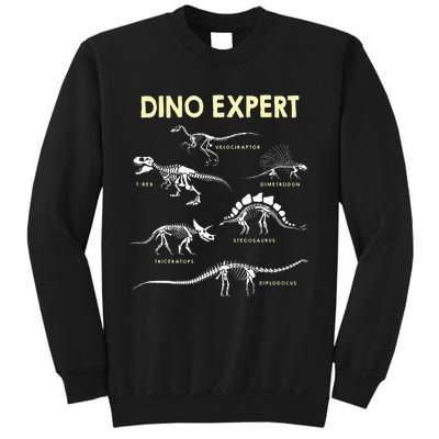 Dino Expert Future Paleontologist Dinosaur Fossil Bones Sweatshirt