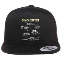 Dino Expert Future Paleontologist Dinosaur Fossil Bones Flatbill Hat