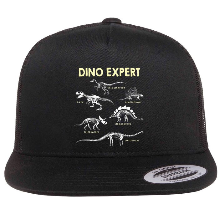 Dino Expert Future Paleontologist Dinosaur Fossil Bones Flatbill Hat