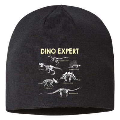 Dino Expert Future Paleontologist Dinosaur Fossil Bones Sustainable Beanie