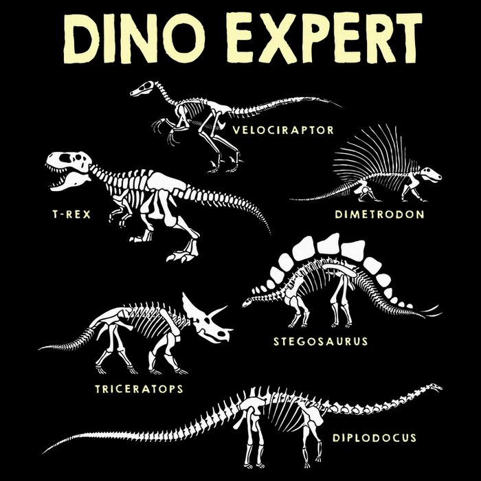 Dino Expert Future Paleontologist Dinosaur Fossil Bones 16 in Basic Backpack