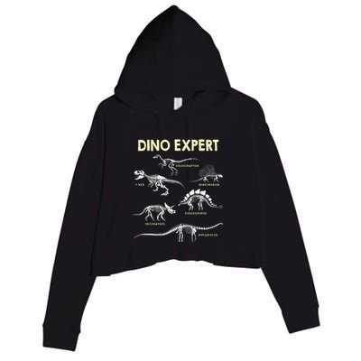 Dino Expert Future Paleontologist Dinosaur Fossil Bones Crop Fleece Hoodie