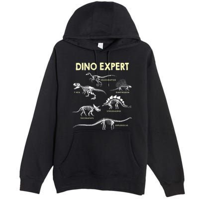 Dino Expert Future Paleontologist Dinosaur Fossil Bones Premium Pullover Hoodie