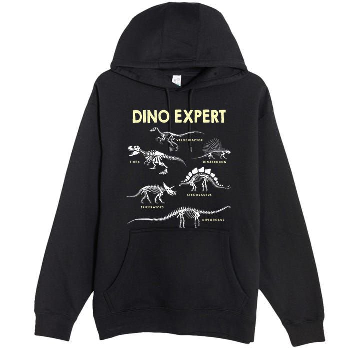 Dino Expert Future Paleontologist Dinosaur Fossil Bones Premium Pullover Hoodie