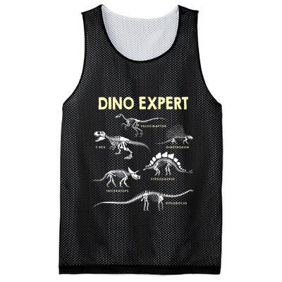 Dino Expert Future Paleontologist Dinosaur Fossil Bones Mesh Reversible Basketball Jersey Tank