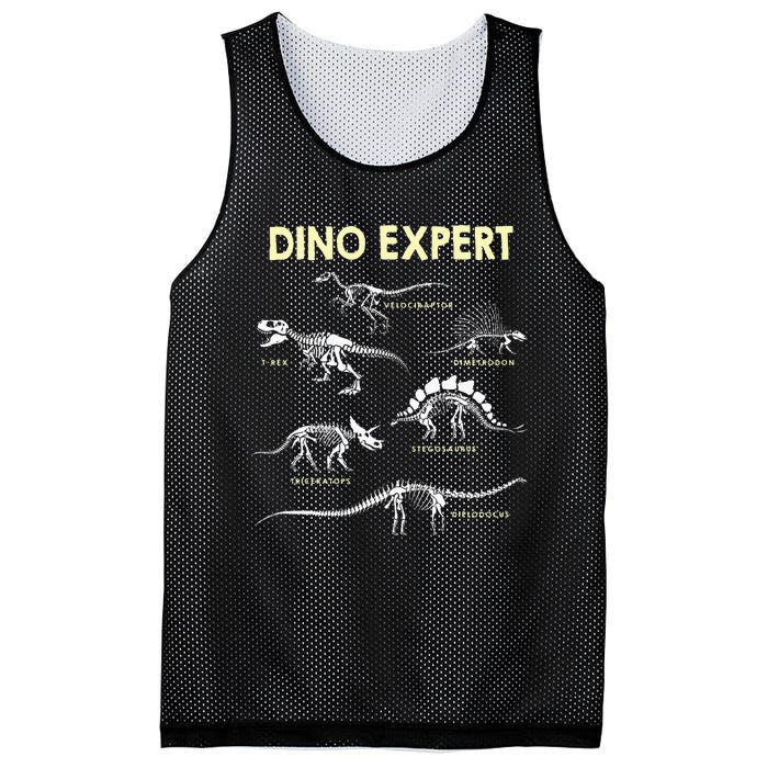 Dino Expert Future Paleontologist Dinosaur Fossil Bones Mesh Reversible Basketball Jersey Tank