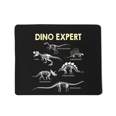 Dino Expert Future Paleontologist Dinosaur Fossil Bones Mousepad