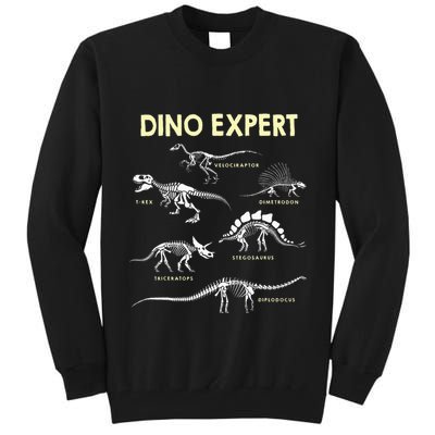Dino Expert Future Paleontologist Dinosaur Fossil Bones Tall Sweatshirt