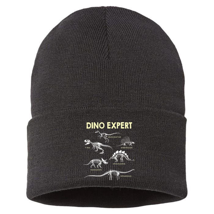 Dino Expert Future Paleontologist Dinosaur Fossil Bones Sustainable Knit Beanie