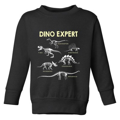 Dino Expert Future Paleontologist Dinosaur Fossil Bones Toddler Sweatshirt
