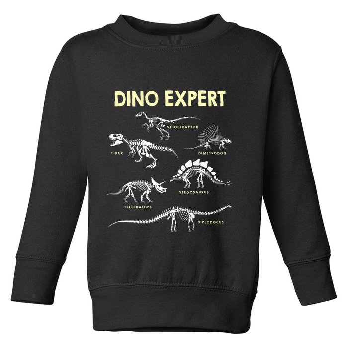 Dino Expert Future Paleontologist Dinosaur Fossil Bones Toddler Sweatshirt