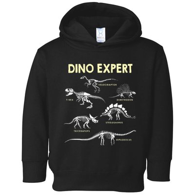 Dino Expert Future Paleontologist Dinosaur Fossil Bones Toddler Hoodie