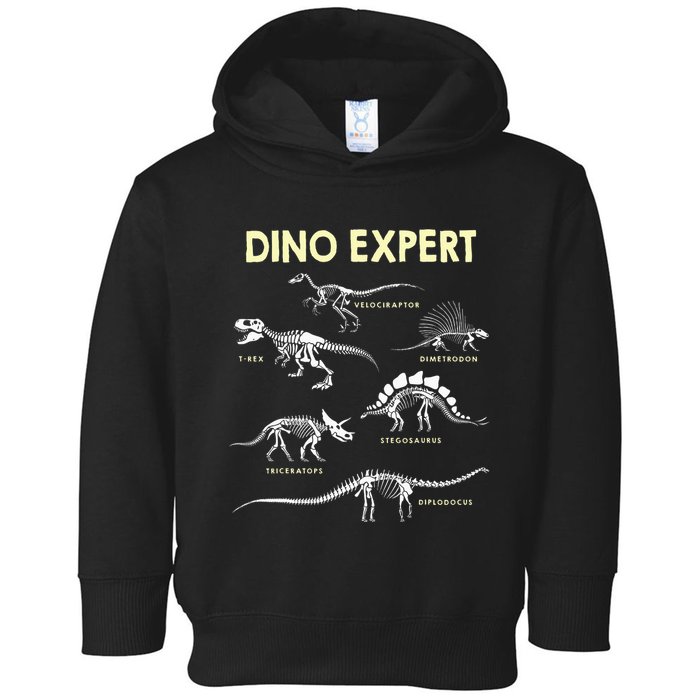 Dino Expert Future Paleontologist Dinosaur Fossil Bones Toddler Hoodie