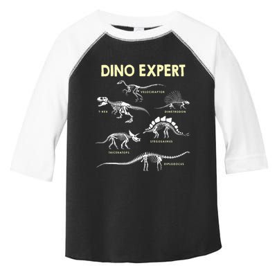 Dino Expert Future Paleontologist Dinosaur Fossil Bones Toddler Fine Jersey T-Shirt