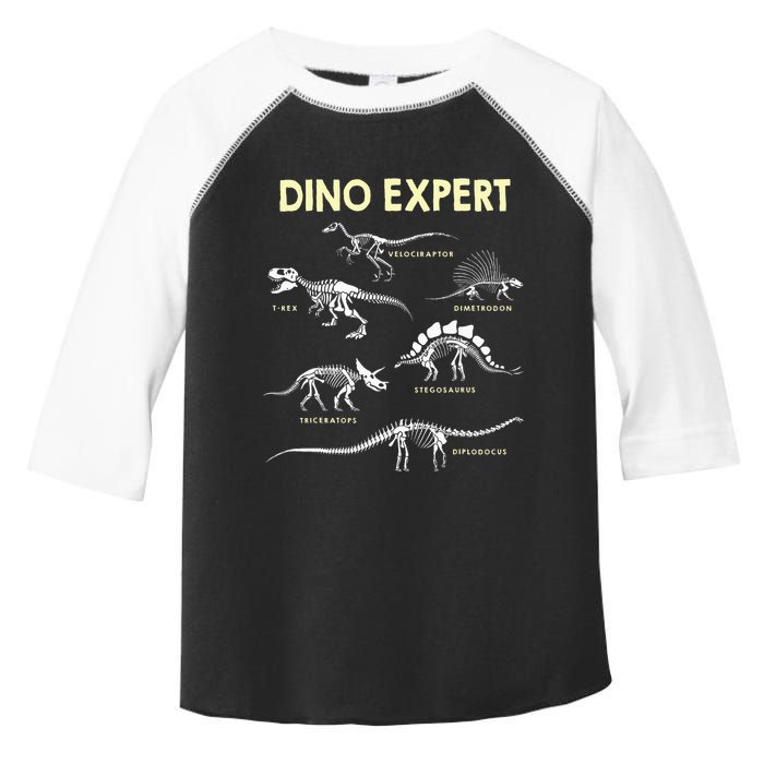 Dino Expert Future Paleontologist Dinosaur Fossil Bones Toddler Fine Jersey T-Shirt