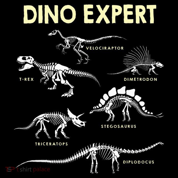 Dino Expert Future Paleontologist Dinosaur Fossil Bones Visor