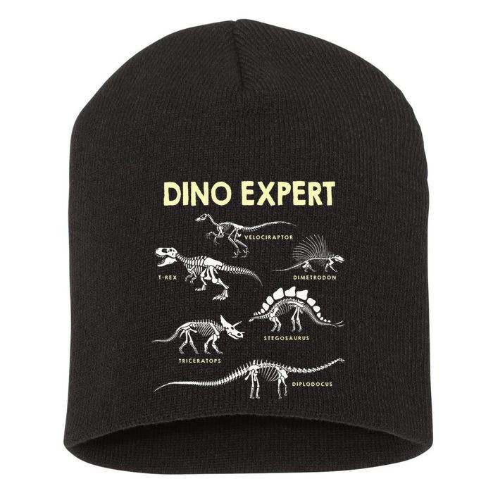 Dino Expert Future Paleontologist Dinosaur Fossil Bones Short Acrylic Beanie