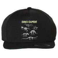 Dino Expert Future Paleontologist Dinosaur Fossil Bones Wool Snapback Cap