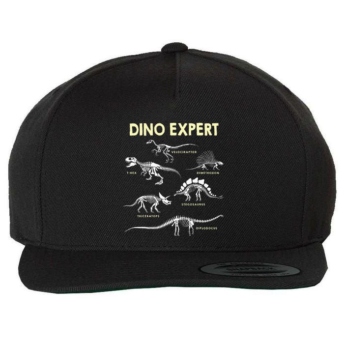 Dino Expert Future Paleontologist Dinosaur Fossil Bones Wool Snapback Cap