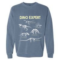 Dino Expert Future Paleontologist Dinosaur Fossil Bones Garment-Dyed Sweatshirt