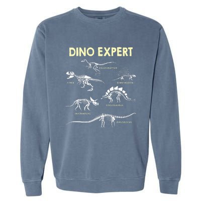 Dino Expert Future Paleontologist Dinosaur Fossil Bones Garment-Dyed Sweatshirt