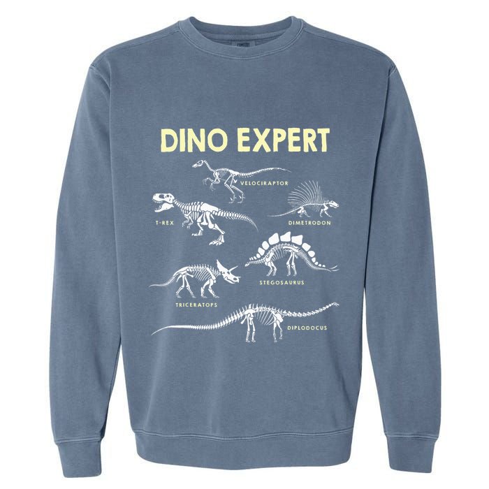 Dino Expert Future Paleontologist Dinosaur Fossil Bones Garment-Dyed Sweatshirt