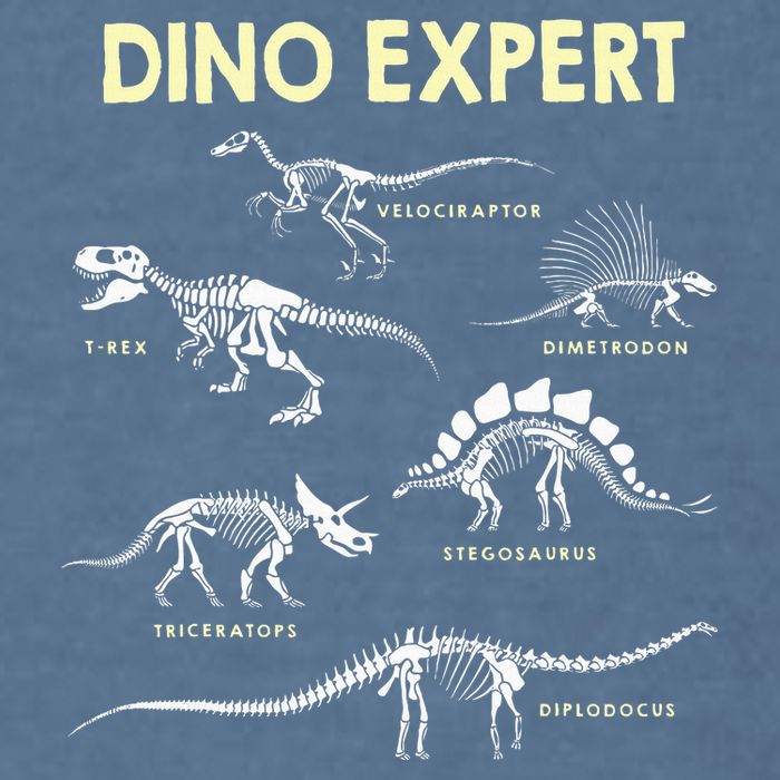 Dino Expert Future Paleontologist Dinosaur Fossil Bones Garment-Dyed Sweatshirt
