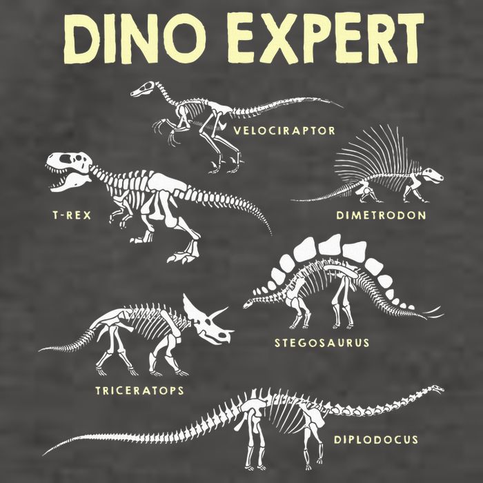 Dino Expert Future Paleontologist Dinosaur Fossil Bones Vector Backpack