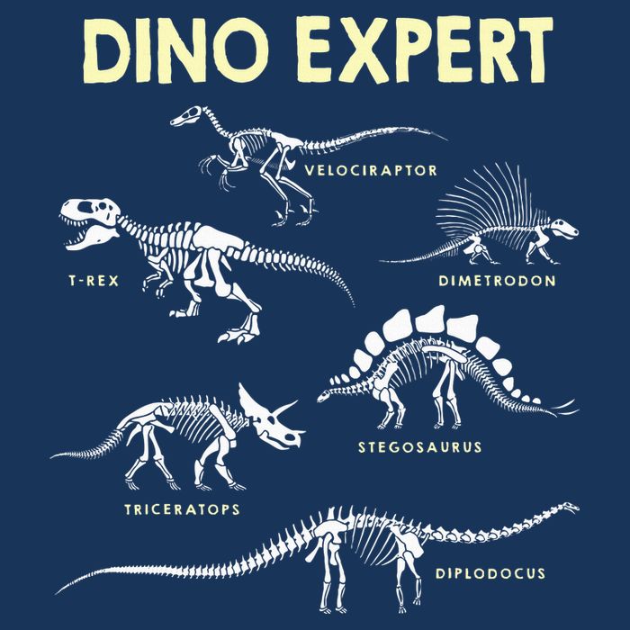 Dino Expert Future Paleontologist Dinosaur Fossil Bones Infant Baby Jersey Bodysuit