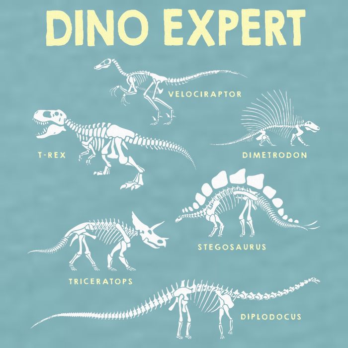 Dino Expert Future Paleontologist Dinosaur Fossil Bones Sueded Cloud Jersey T-Shirt