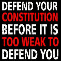 Defend Your Constitution Hoodie