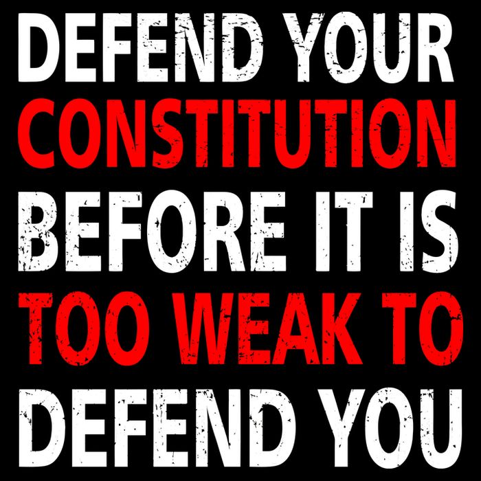 Defend Your Constitution Hoodie