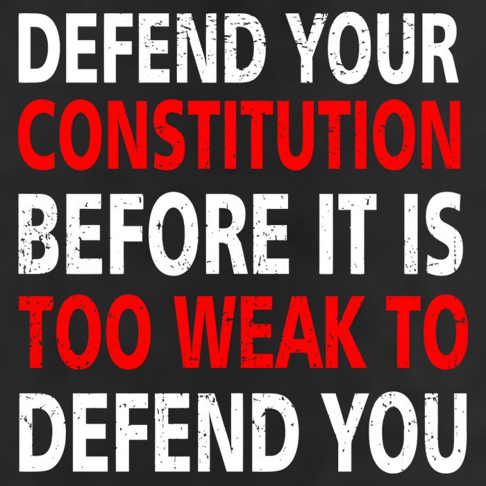 Defend Your Constitution Adult Drive Performance Visor