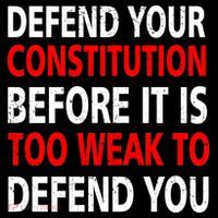 Defend Your Constitution Baby Bodysuit