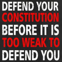 Defend Your Constitution Hat