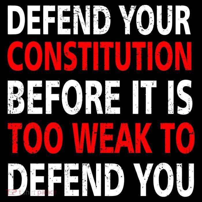 Defend Your Constitution Visor