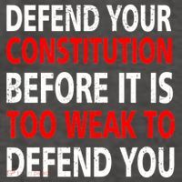 Defend Your Constitution Vector Backpack