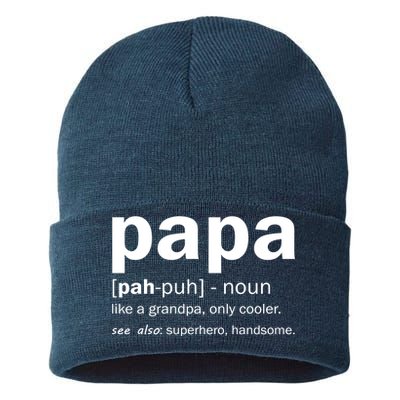 Definition Of A Papa Sustainable Knit Beanie