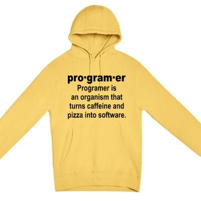 Definition of A Programmer Premium Pullover Hoodie