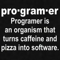 Definition of A Programmer Ladies PosiCharge Tri-Blend Wicking Tank