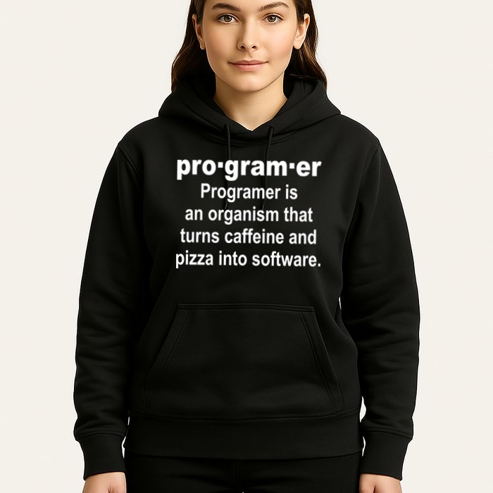 Definition of A Programmer Hoodie
