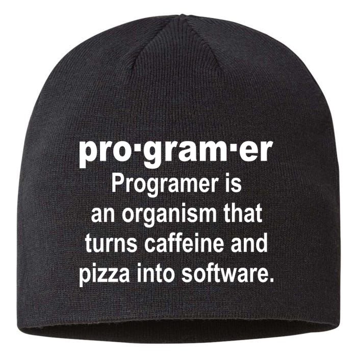 Definition of A Programmer Sustainable Beanie