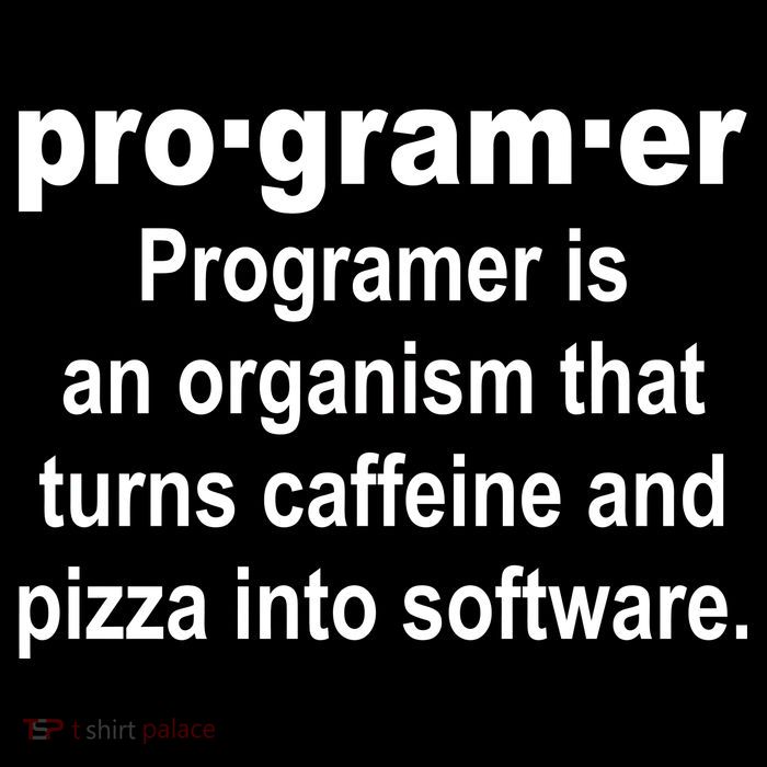 Definition of A Programmer Sustainable Beanie