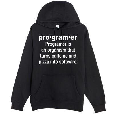 Definition of A Programmer Premium Pullover Hoodie
