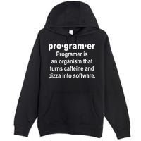 Definition of A Programmer Premium Pullover Hoodie